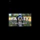 Financial Profes sir. Harley #puppy  #cutedog  #funny  #stockmarket #spcx #btc #investment #investor