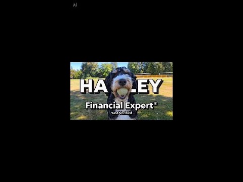 Financial Profes sir. Harley #puppy  #cutedog  #funny  #stockmarket #spcx #btc #investment #investor