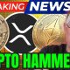 Crypto Just Got Punched In The Gut - Hard! Breaking Crypto News!