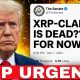 URGENT!!! XRP HOLDERS CLARITY ACT DEAD??!? (GAME CHANGER)
