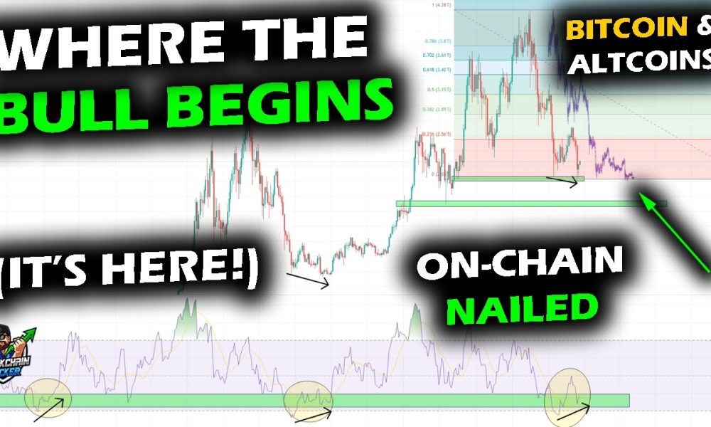WHERE BULL MARKETS BEGIN, We've Reached It, Bitcoin Price Chart, XRP & Altcoin Market New Chapter