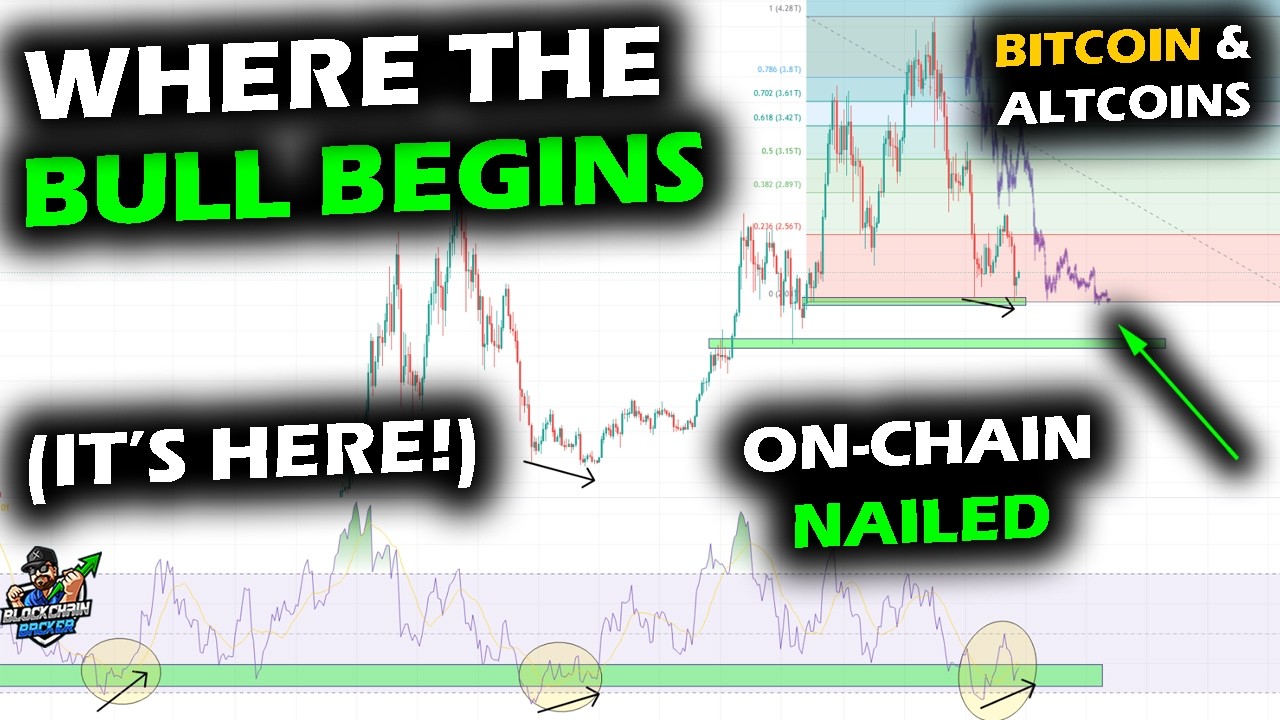 WHERE BULL MARKETS BEGIN, We've Reached It, Bitcoin Price Chart, XRP & Altcoin Market New Chapter