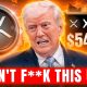 IF YOU HOLD XRP PLEASE DON'T F**K THIS UP!!!