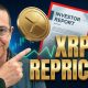 "XRP Repricing! July 1st Deadline Countdown LEAKED XRP Report"