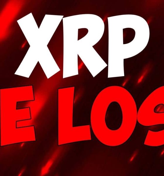 Ripple XRP CLARITY DELAYED NOOO BAD NEWS BEARS!!!!!