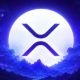 XRP CRAZY !!!!