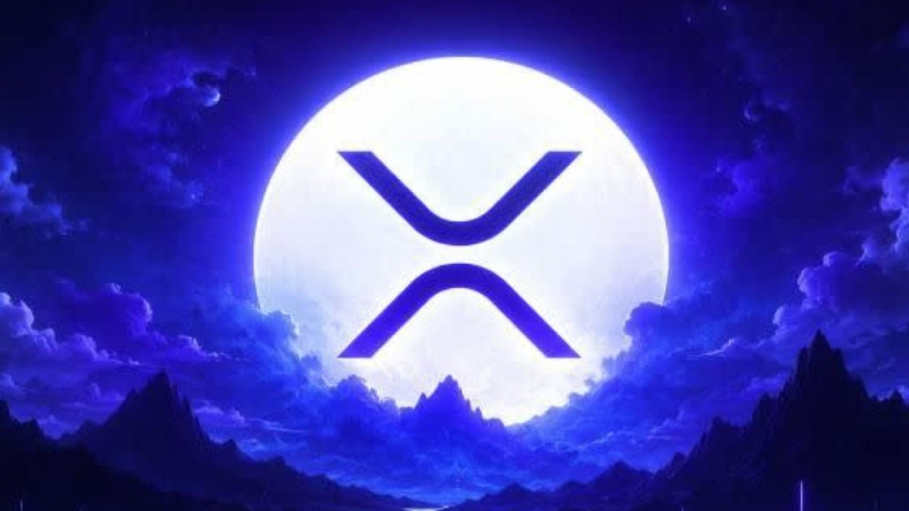 XRP CRAZY !!!!