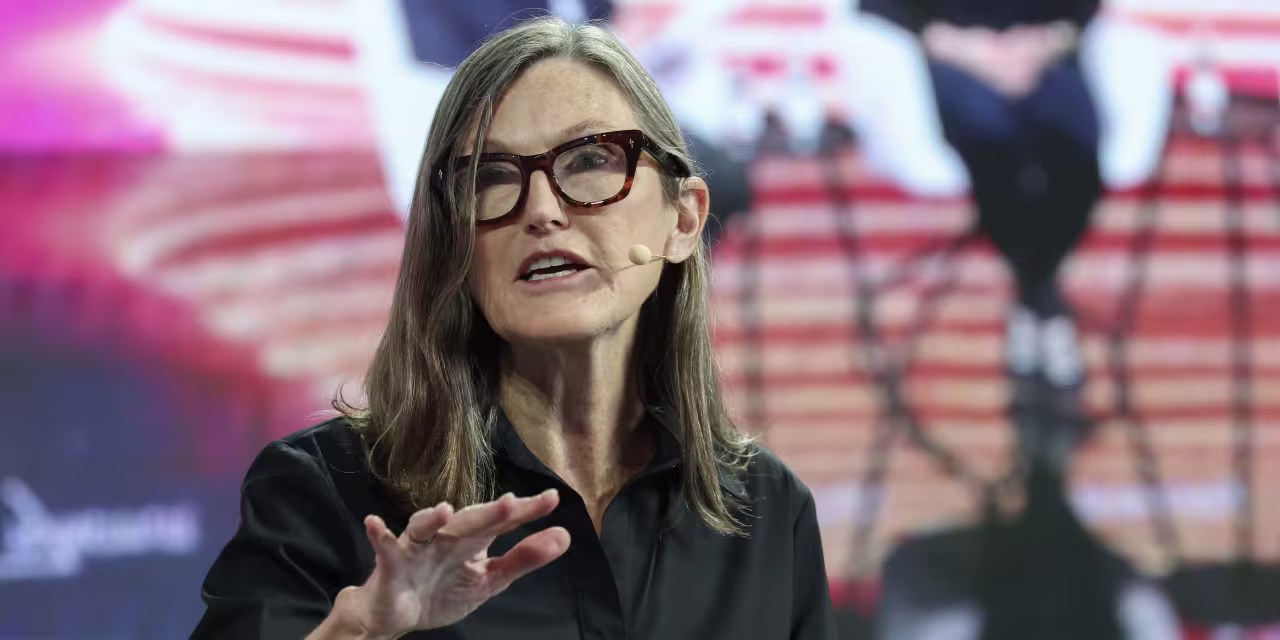Palantir Stock Could Snap 7-Day Losing Streak. Cathie Wood’s ARK Bought the Dip.