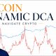 Bitcoin Dynamic DCA: How I Navigate Crypto