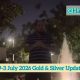29-3 July 2026 Gold & Silver Update-Just  Analysis not financial advisor
