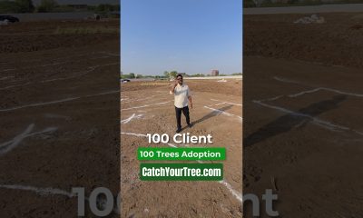 This Financial Planner Adopted 100 Trees for His Clients! #shorts #inspiringstory