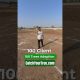 This Financial Planner Adopted 100 Trees for His Clients! #shorts #inspiringstory