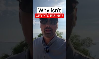 Why Is Bitcoin NOT RISING Even Though There Is More Money in the Market?