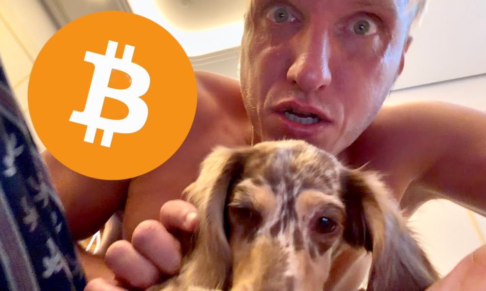 BITCOIN!!!!!! NOW!!!!!!!!!!!!!!!!!!!!!!!!!!!!