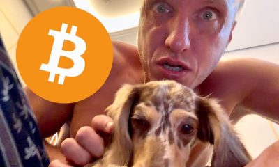 BITCOIN!!!!!! NOW!!!!!!!!!!!!!!!!!!!!!!!!!!!!