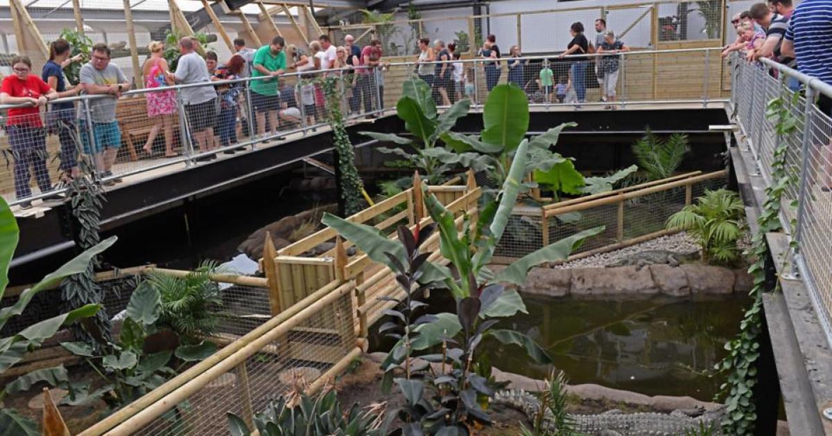 Boy ended up in Johnsons of Old Hurst crocodile enclosure