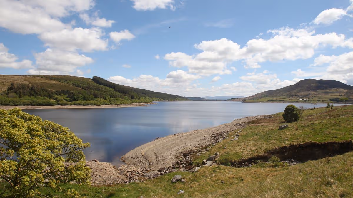 Wales Online