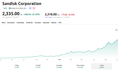 Sandisk Corporation (SNDK) Price Performance - 1 Year. Source: TradingView