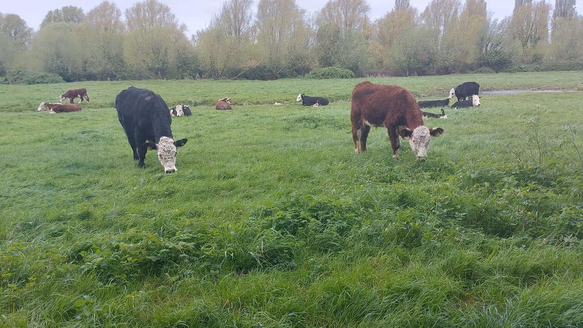 Cambridgeshire Live