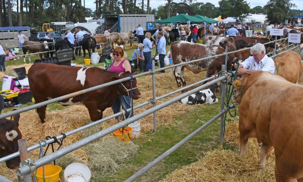 Malton Show's future secured after Amotherby-based BATA deal