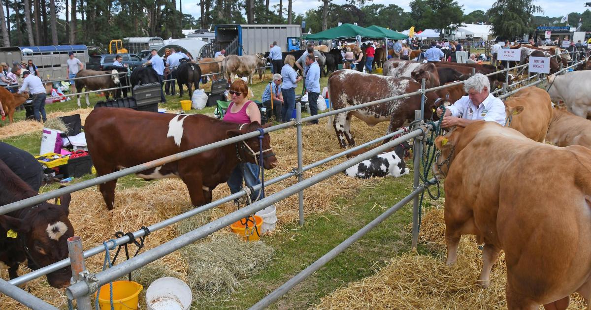 Malton Show's future secured after Amotherby-based BATA deal
