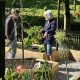 Beautiful gardens around Bolton taking part in National Garden Scheme