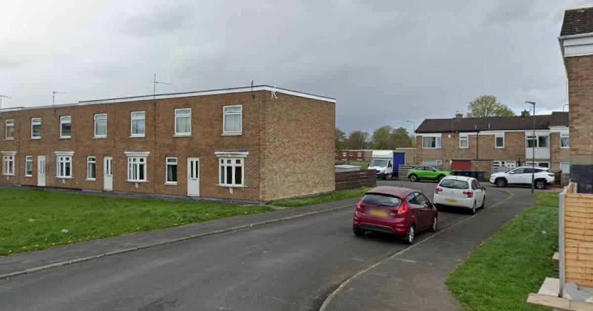 Seven people arrested after Newton Aycliffe street brawl