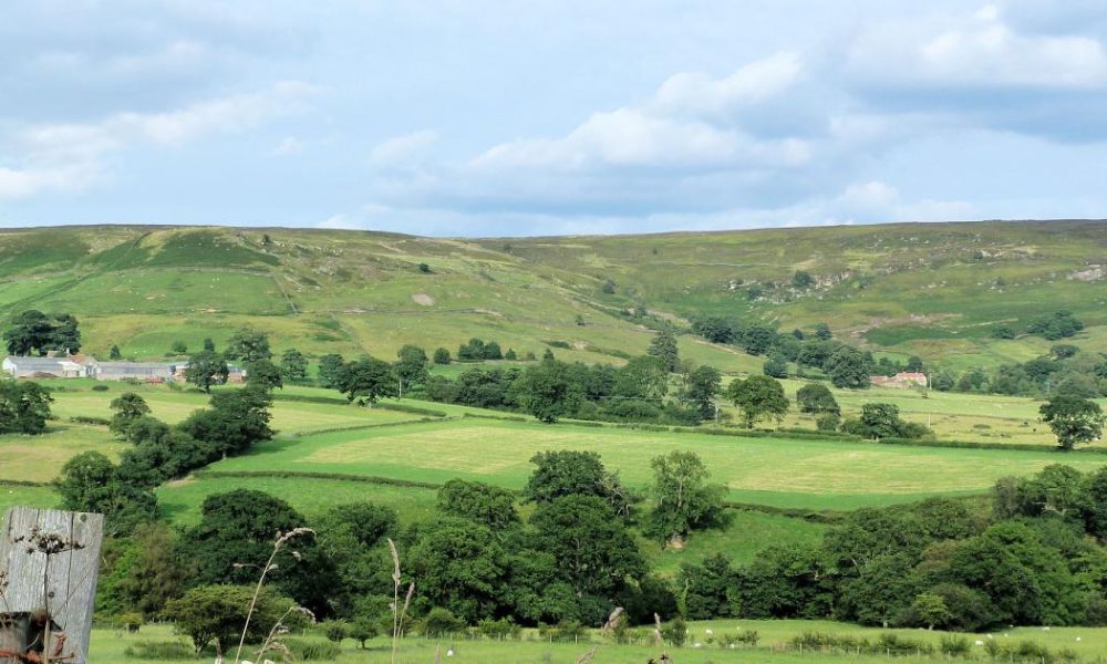 Farndale walk mixing daffodil dales and iron railway history