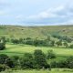 Farndale walk mixing daffodil dales and iron railway history