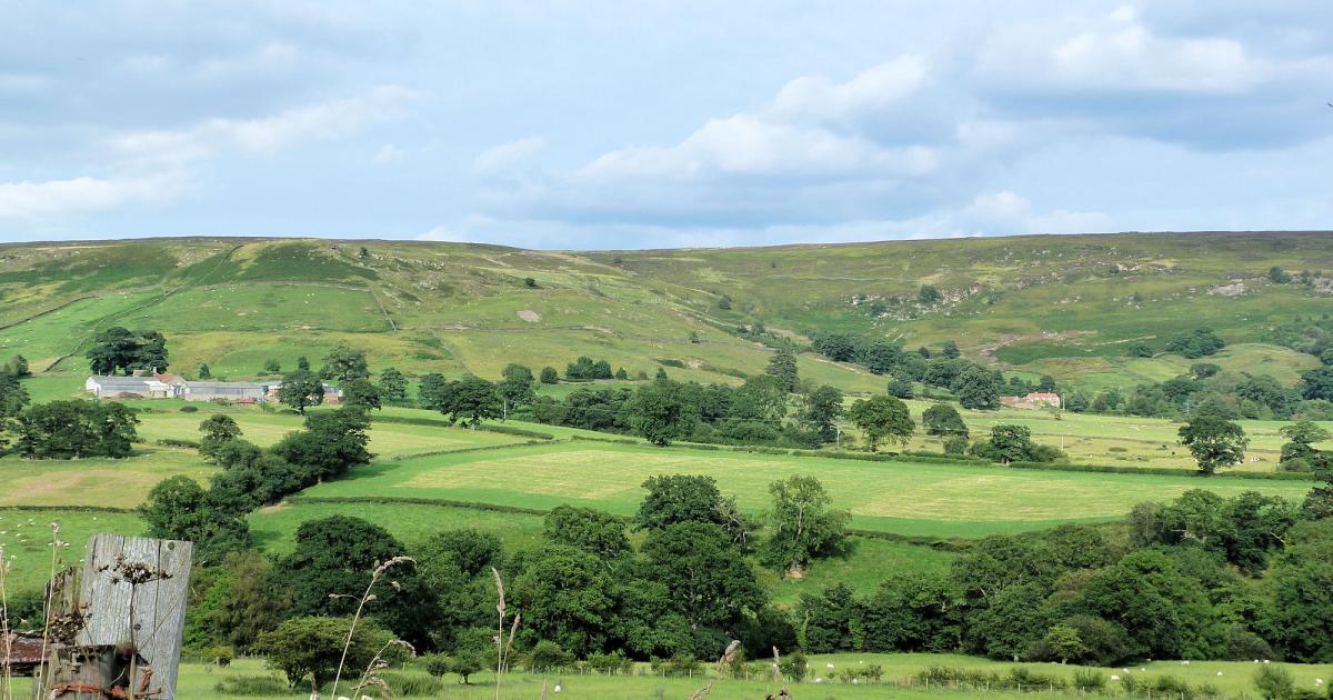 Farndale walk mixing daffodil dales and iron railway history