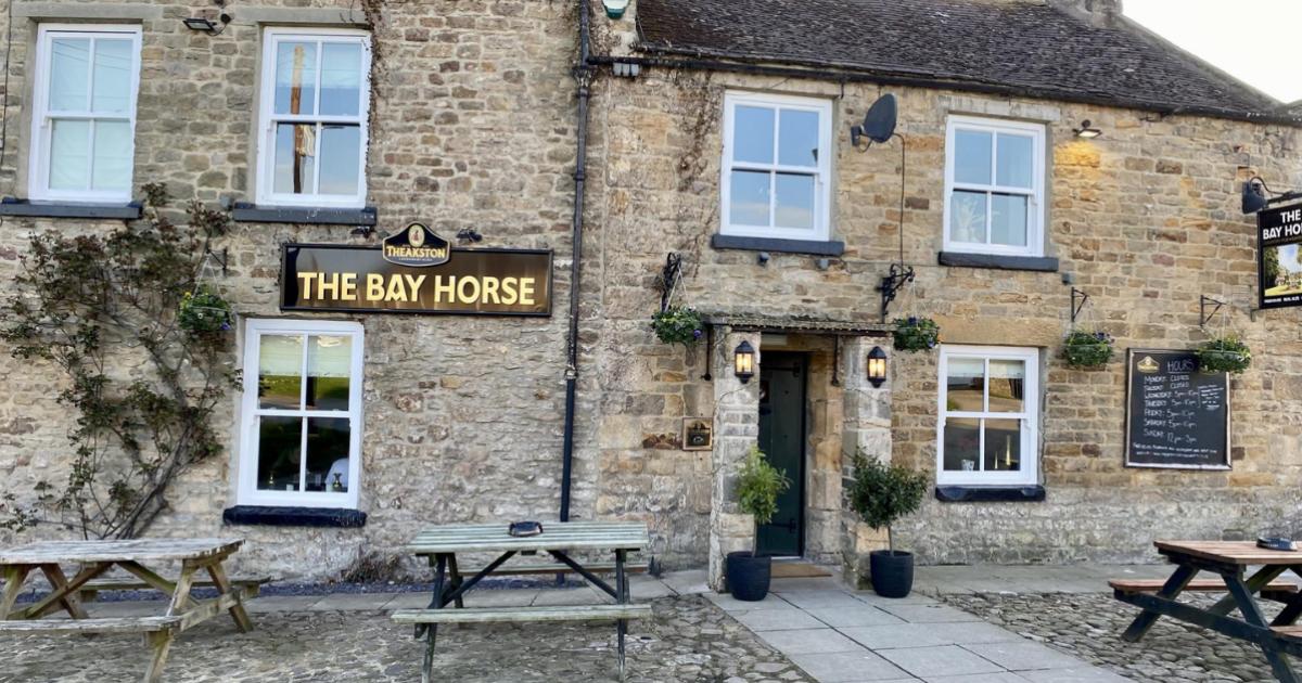 TripAdvisor - The 'flawless' Bay Horse in Ravensworth