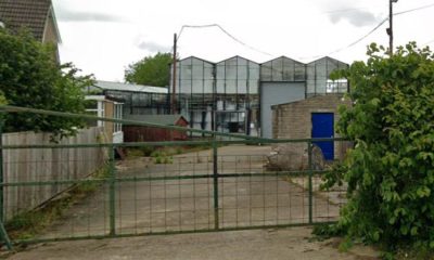 Mainsgill Farm owenrs plan 75 homes at Ravensworth Nurseries site