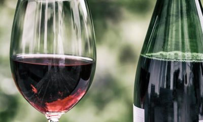 2,000-year-old grape seeds pinpoint origins of modern wine