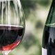 2,000-year-old grape seeds pinpoint origins of modern wine