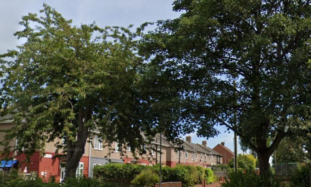 Teesside teen charged with 'intent to endanger life' as gun found