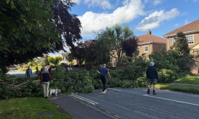 Tree fallen and blocked Main Street, Upper Poppleton, York