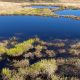 Bogs on Winter Hill being restored to help tackle flooding