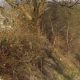Decision made on plans for 30 affordable houses in Tonge Fold