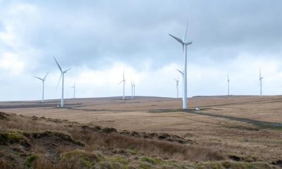 Windfarm scheme risks future generations, says councillor