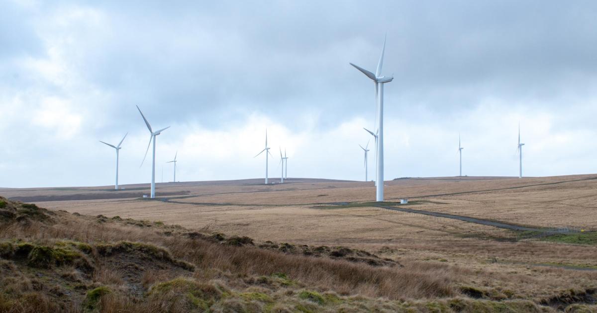 Windfarm scheme risks future generations, says councillor