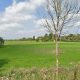 Bid for 'permission in Principle' for Blackrod houses vote