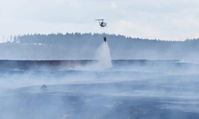 Report published on major Fylingdales Moor/Langdale End fire