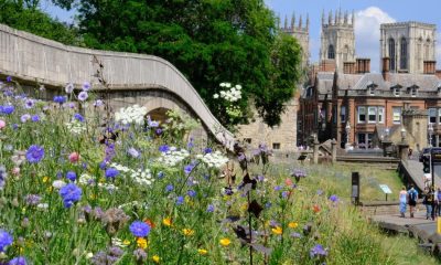 York stay was 'one of best experiences of my life'