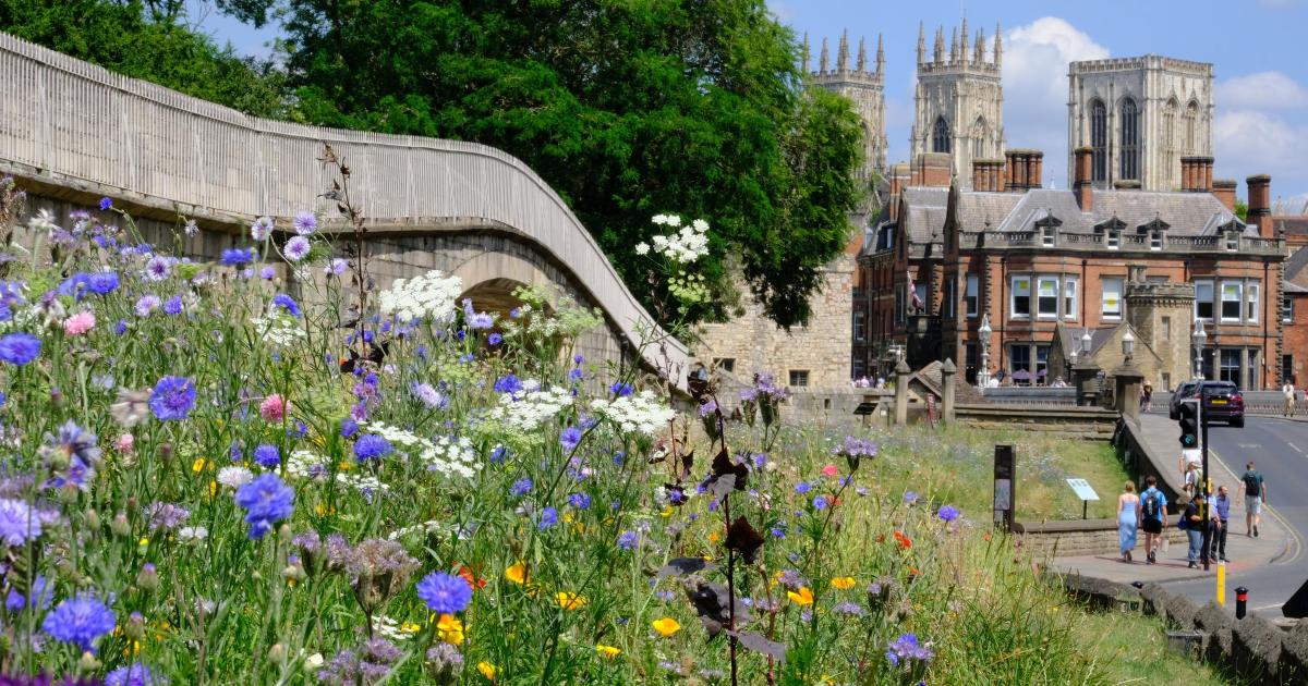 York stay was 'one of best experiences of my life'