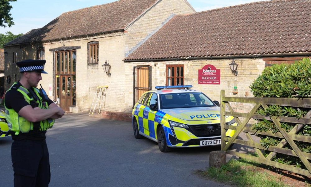 Ethnicity of Norfolk man arrested after crocodile incident