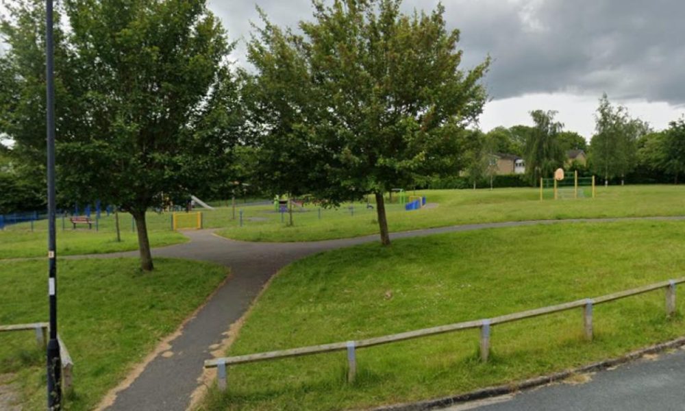 Dog bites boy, 9, at Knaresborough park - police appeal