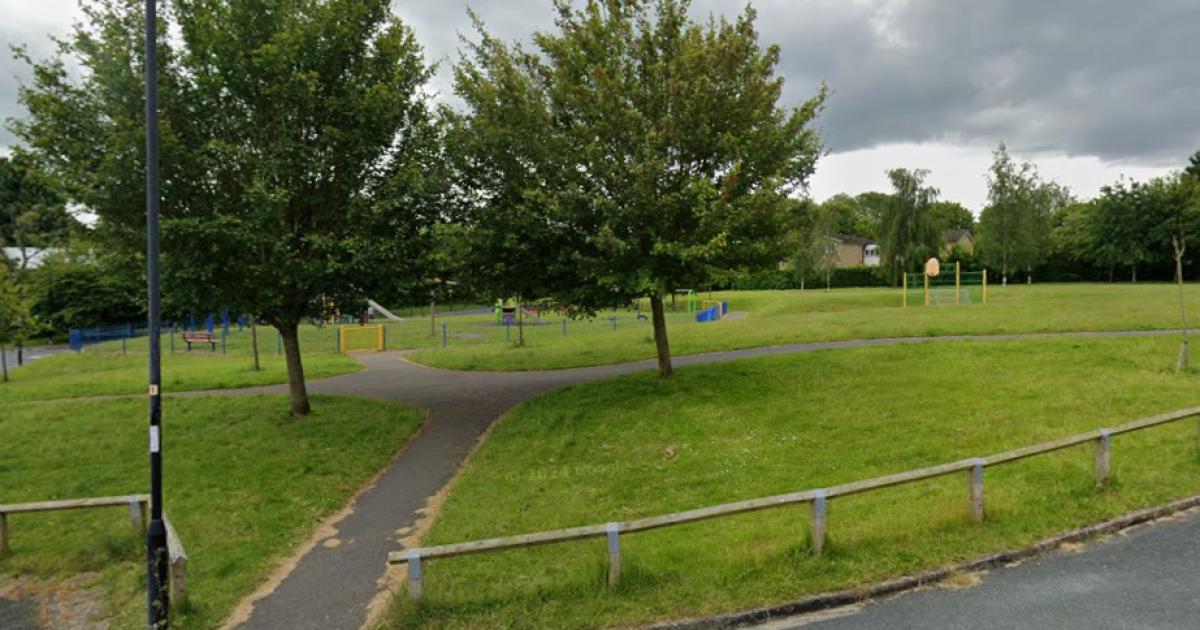 Dog bites boy, 9, at Knaresborough park - police appeal