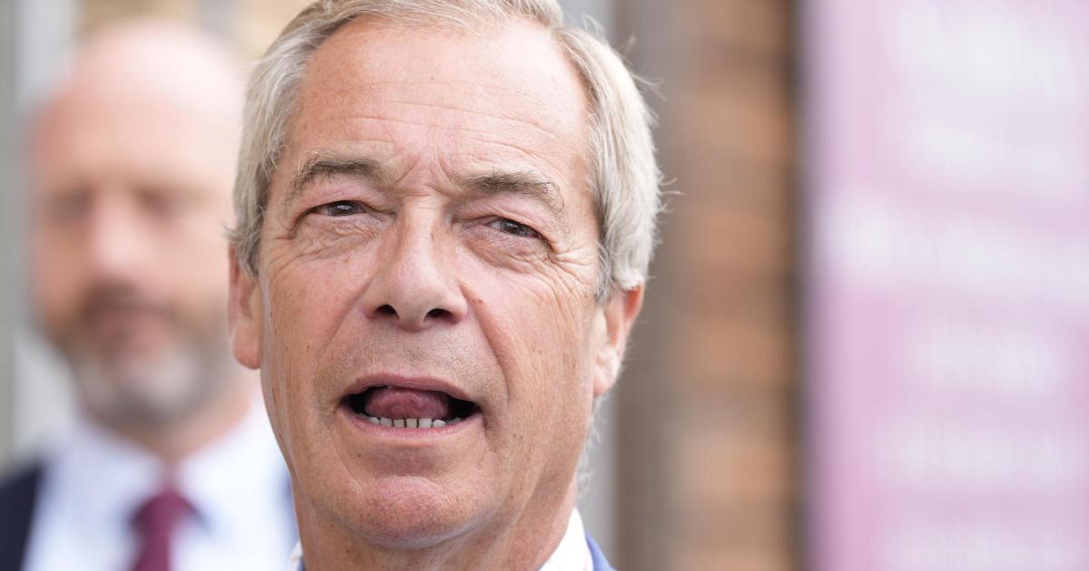 Nigel Farage calls for general election in explosive statement