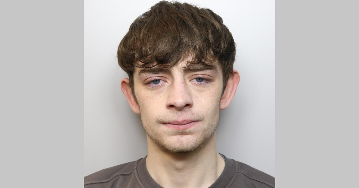 Yorkshire dealer sold cocaine and cannabis in Scarborough