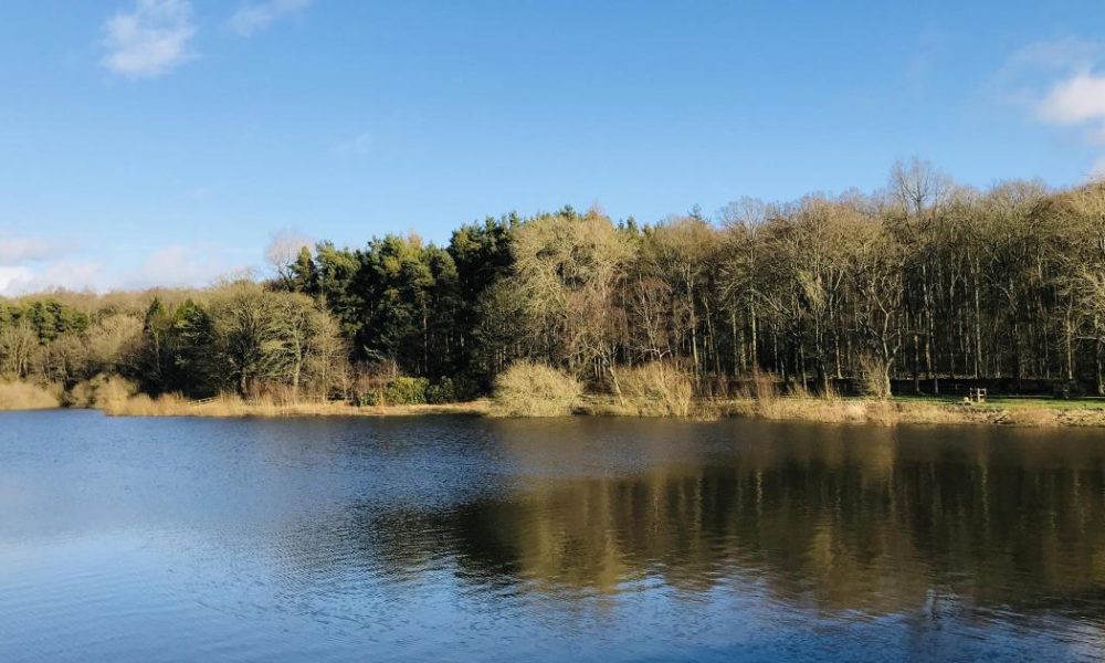 Yorkshire Water urged customers about heatwave water usage